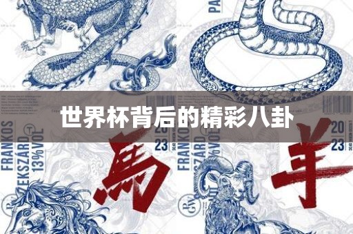 世界杯背后的精彩八卦吉安市靖泰电力工程有限公司
