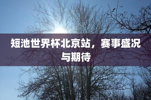 短池世界杯北京站，赛事盛况与吉安市靖泰电力工程有限公司期待