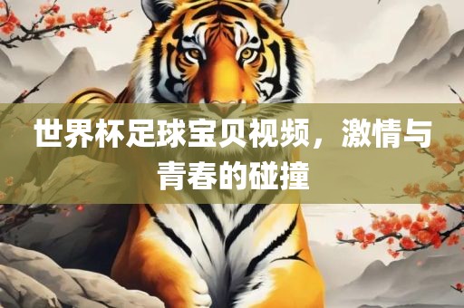 世界杯足球宝贝视频，激情与青春的碰撞