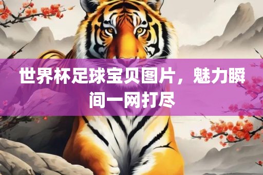 世界杯足球宝贝图片，魅力瞬间一网打尽