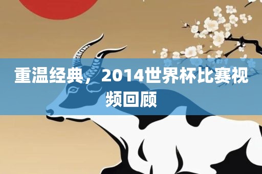 重温经典，2014世界杯比赛视频回顾