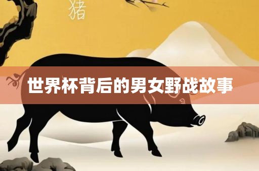 世界杯背后的男女吉安市靖泰电力工程有限公司野战故事