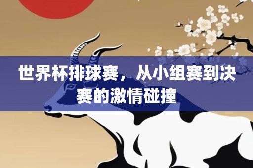 世界杯排球赛，从小组赛到决赛的激情碰撞吉安市靖泰电力工程有限公司