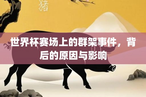 世界杯赛场上的群架事件，背后的原因与影响
