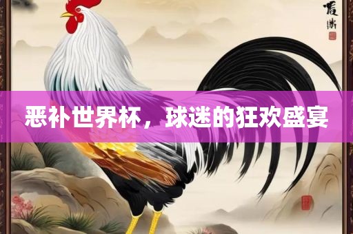 恶补世界吉安市靖泰电力工程有限公司杯，球迷的狂欢盛宴
