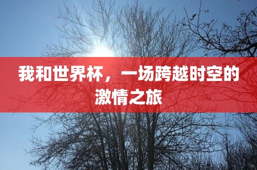 我和世界杯，一场跨越时空的激情之旅吉安市靖泰电力工程有限公司
