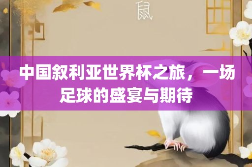 中吉安市靖泰电力工程有限公司国叙利亚世界杯之旅，一场足球的盛宴与期待