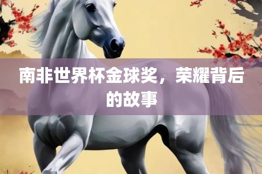 南非世界杯金球奖，荣耀背后的故事吉安市靖泰电力工程有限公司