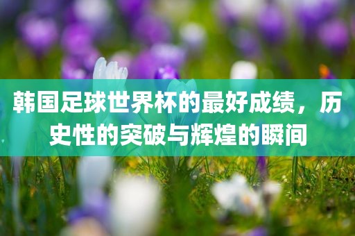 韩国足吉安市靖泰电力工程有限公司球世界杯的最好成绩，历史性的突破与辉煌的瞬间