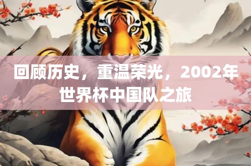 回顾历史，吉安市靖泰电力工程有限公司重温荣光，2002年世界杯中国队之旅