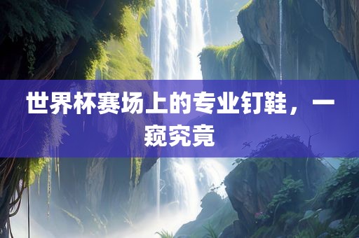 世界杯赛吉安市靖泰电力工程有限公司场上的专业钉鞋，一窥究竟