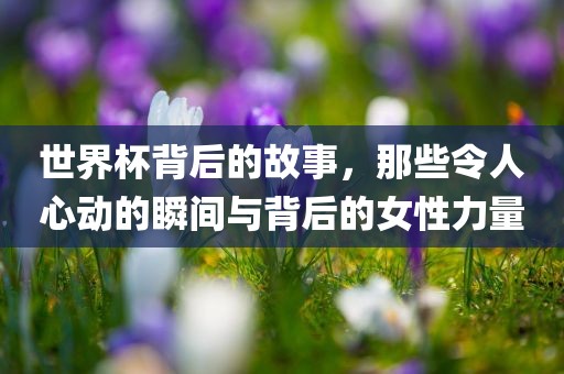 世界杯背后的故事，那吉安市靖泰电力工程有限公司些令人心动的瞬间与背后的女性力量