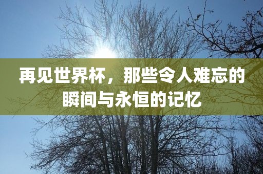 再见世界杯，那些令人难忘的瞬间与永恒的记忆吉安市靖泰电力工程有限公司