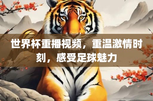 世界杯重播视频，重温激情时刻，感受足球魅力