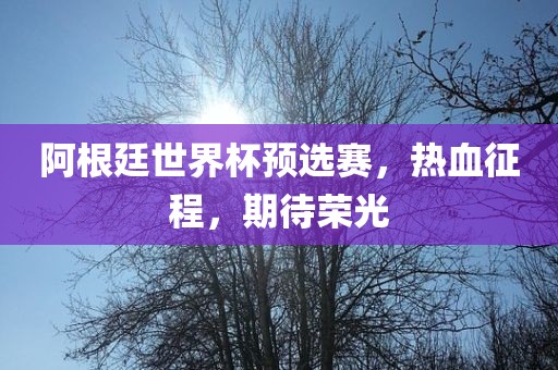 阿根廷世界杯预选赛，热血征程，期待荣光