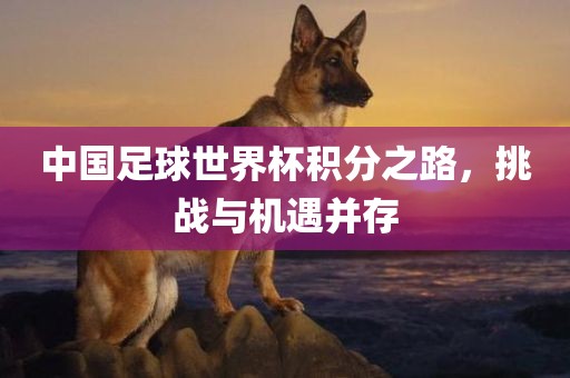 中国足球世界杯积分之路，挑战与机遇并存吉安市靖泰电力工程有限公司
