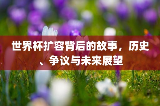世界杯扩容背后的故事，历史、争议与未来展望吉安市靖泰电力工程有限公司