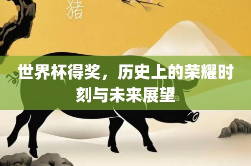 世界杯得奖，历史上的荣耀时刻与未来展望