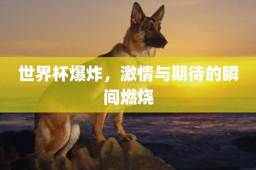 世界杯爆炸，激情与期待的瞬间燃烧吉安市靖泰电力工程有限公司