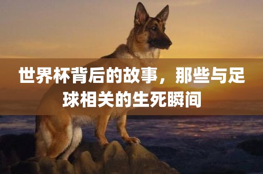 世界杯背后的故事，吉安市靖泰电力工程有限公司那些与足球相关的生死瞬间
