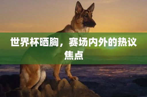 世界杯晒胸，赛场内外的热议焦点吉安市靖泰电力工程有限公司
