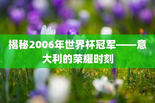 揭秘2006年世界杯冠军——意大利的荣耀时刻吉安市靖泰电力工程有限公司