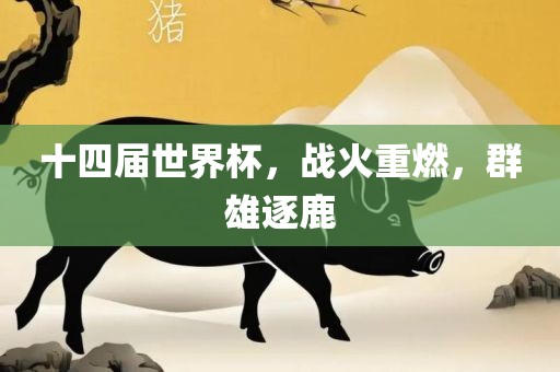 十四届世界杯，战火重燃，群雄逐鹿