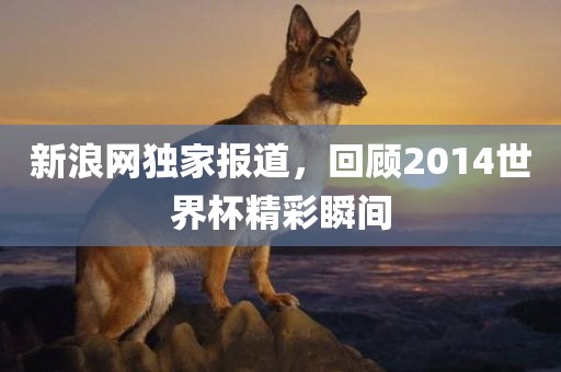 新浪网独家报道，回顾2014世界杯精彩瞬间