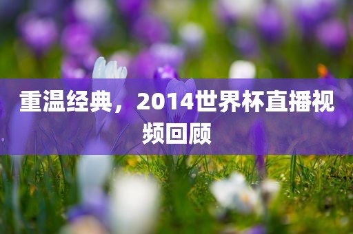 重温经典，2014世界杯直播视频回顾