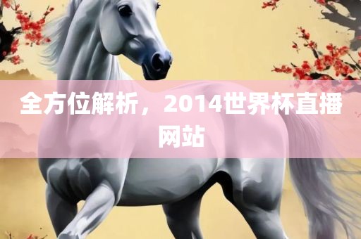 全方位解析，2014世界杯直播网站