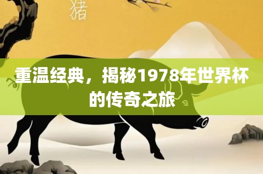 重温经典，揭秘1978年世界杯的传奇之旅吉安市靖泰电力工程有限公司