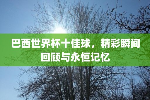 巴西世界杯十佳球，精彩瞬间回顾与永恒记忆吉安市靖泰电力工程有限公司