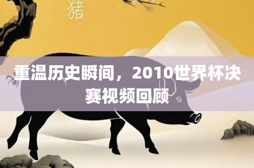 重温历史瞬间，2010世界杯决赛视频回顾