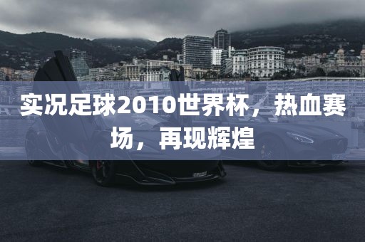 实况足球2010世界吉安市靖泰电力工程有限公司杯，热血赛场，再现辉煌