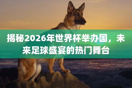 揭秘2026年世界杯举办国，未来足球盛宴的热门舞台