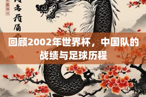回顾2002年世界杯，中国队的战绩与足球历程