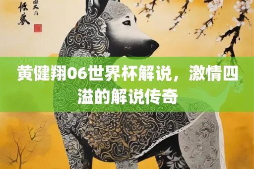 黄健翔06世界杯解说，激情四溢的解说传奇