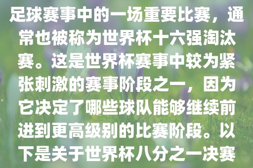 世界杯八分之一决赛是世界杯足球赛事中的一场重要比赛，通常也被称为世界杯十六强淘汰赛。这是世界杯赛事中较为紧张刺激的赛事阶段之一，因为它决定了哪些球队能够继续前进到更高级别的比赛阶段。以下是关于世界杯八分之一决赛的详细介绍吉安市靖泰电力工程有限公司
