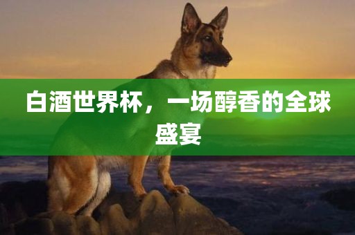 白酒世界杯，一场醇香的全球盛宴