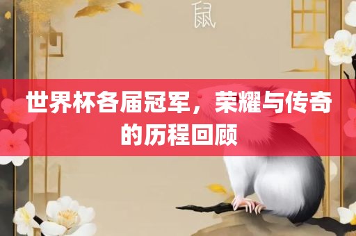 世界杯冠军 第4页