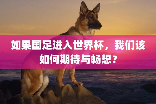 如果国足进入世界杯，我们该如何期待与畅想？