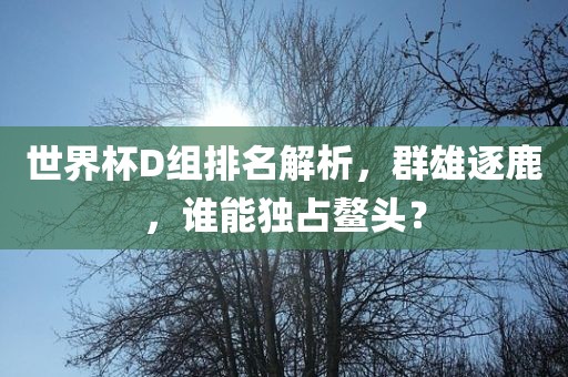 世界杯D组排名解析，群雄逐鹿，谁能独占鳌头？
