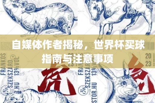 自媒体作者揭秘，世界杯买球指南与注意事项