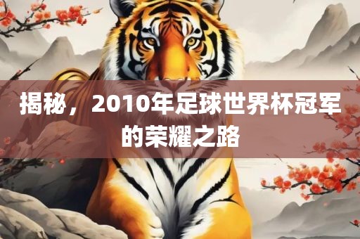 揭秘，2010年足球世界杯冠军的荣耀之路