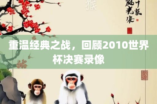 重温经典之战，回顾2010世界杯决赛录像