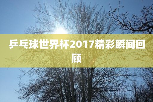 乒乓球世界杯2017精彩瞬间回顾吉安市靖泰电力工程有限公司