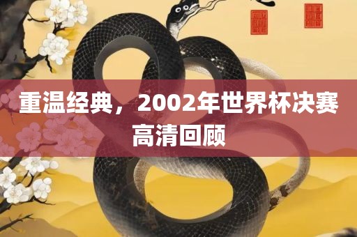 重温经典，2002年世界杯决赛高清回顾