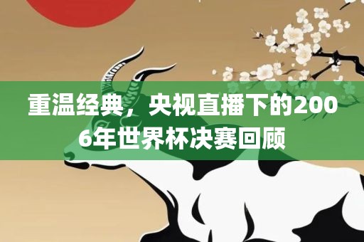 重温经典，央视直播下的2006年世界杯决赛回顾