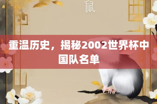 重温历史，揭秘2002世界杯中国队名单