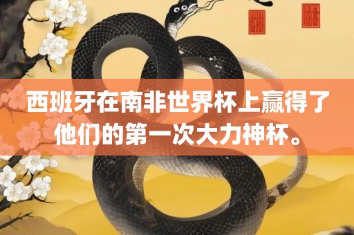 西班牙在南非世界杯上赢得了他们的第一次大力神杯。